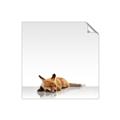 Picture of Singular Fox  _GroupedProduct_Square_Mini_ _GroupedProduct_Square_Unframed_Print_Only_