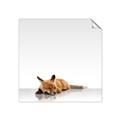 Picture of Singular Fox  _GroupedProduct_Square_Mini_ _GroupedProduct_Square_Unframed_Print_Only_