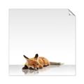 Picture of Singular Fox  _GroupedProduct_Square_Mini_ _GroupedProduct_Square_Unframed_Print_Only_
