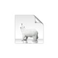 Picture of Singular Polar Bear _GroupedProduct_Square_Mini_ _GroupedProduct_Square_Unframed_Print_Only_