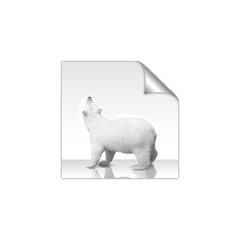 Picture of Singular Polar Bear _GroupedProduct_Square_Mini_ _GroupedProduct_Square_Unframed_Print_Only_
