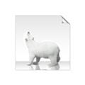 Picture of Singular Polar Bear _GroupedProduct_Square_Mini_ _GroupedProduct_Square_Unframed_Print_Only_