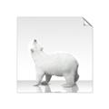 Picture of Singular Polar Bear _GroupedProduct_Square_Mini_ _GroupedProduct_Square_Unframed_Print_Only_