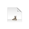 Picture of Singular Raccoon _GroupedProduct_Square_Mini_ _GroupedProduct_Square_Unframed_Print_Only_