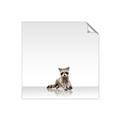 Picture of Singular Raccoon _GroupedProduct_Square_Mini_ _GroupedProduct_Square_Unframed_Print_Only_