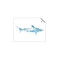 Picture of Blue Splash Shark II _GroupedProduct_Rectangle_Landscape_Mini_ _GroupedProduct_Rectangle_Landscape_Unframed_Print_Only_