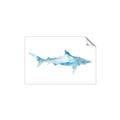 Picture of Blue Splash Shark II _GroupedProduct_Rectangle_Landscape_Mini_ _GroupedProduct_Rectangle_Landscape_Unframed_Print_Only_