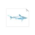 Picture of Blue Splash Shark II _GroupedProduct_Rectangle_Landscape_Mini_ _GroupedProduct_Rectangle_Landscape_Unframed_Print_Only_