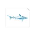 Picture of Blue Splash Shark II _GroupedProduct_Rectangle_Landscape_Mini_ _GroupedProduct_Rectangle_Landscape_Unframed_Print_Only_