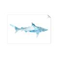 Picture of Blue Splash Shark II _GroupedProduct_Rectangle_Landscape_Mini_ _GroupedProduct_Rectangle_Landscape_Unframed_Print_Only_