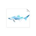 Picture of Blue Splash Shark III _GroupedProduct_Rectangle_Landscape_Mini_ _GroupedProduct_Rectangle_Landscape_Unframed_Print_Only_