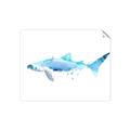 Picture of Blue Splash Shark III _GroupedProduct_Rectangle_Landscape_Mini_ _GroupedProduct_Rectangle_Landscape_Unframed_Print_Only_