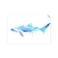 Picture of Blue Splash Shark III _GroupedProduct_Rectangle_Landscape_Mini_ _GroupedProduct_Rectangle_Landscape_Unframed_Print_Only_