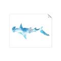 Picture of Blue Splash Shark IV _GroupedProduct_Rectangle_Landscape_Mini_ _GroupedProduct_Rectangle_Landscape_Unframed_Print_Only_