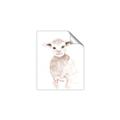 Picture of Baby Sheep Front _GroupedProduct_Rectangle_Portrait_Mini_ _GroupedProduct_Rectangle_Portrait_Unframed_Print_Only_