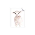 Picture of Baby Sheep Front _GroupedProduct_Rectangle_Portrait_Mini_ _GroupedProduct_Rectangle_Portrait_Unframed_Print_Only_