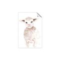 Picture of Baby Sheep Front _GroupedProduct_Rectangle_Portrait_Mini_ _GroupedProduct_Rectangle_Portrait_Unframed_Print_Only_