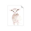 Picture of Baby Sheep Front _GroupedProduct_Rectangle_Portrait_Mini_ _GroupedProduct_Rectangle_Portrait_Unframed_Print_Only_