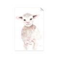 Picture of Baby Sheep Front _GroupedProduct_Rectangle_Portrait_Mini_ _GroupedProduct_Rectangle_Portrait_Unframed_Print_Only_