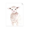 Picture of Baby Sheep Front _GroupedProduct_Rectangle_Portrait_Mini_ _GroupedProduct_Rectangle_Portrait_Unframed_Print_Only_