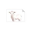 Picture of Baby Sheep Side  _GroupedProduct_Rectangle_Landscape_Mini_ _GroupedProduct_Rectangle_Landscape_Unframed_Print_Only_