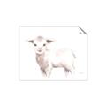 Picture of Baby Sheep Side  _GroupedProduct_Rectangle_Landscape_Mini_ _GroupedProduct_Rectangle_Landscape_Unframed_Print_Only_