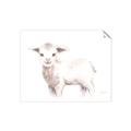 Picture of Baby Sheep Side  _GroupedProduct_Rectangle_Landscape_Mini_ _GroupedProduct_Rectangle_Landscape_Unframed_Print_Only_