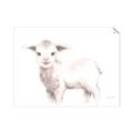 Picture of Baby Sheep Side  _GroupedProduct_Rectangle_Landscape_Mini_ _GroupedProduct_Rectangle_Landscape_Unframed_Print_Only_