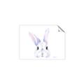 Picture of Peekaboo Bunny _GroupedProduct_Rectangle_Landscape_Mini_ _GroupedProduct_Rectangle_Landscape_Unframed_Print_Only_