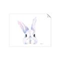 Picture of Peekaboo Bunny _GroupedProduct_Rectangle_Landscape_Mini_ _GroupedProduct_Rectangle_Landscape_Unframed_Print_Only_