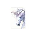 Picture of Purple Unicorn l _GroupedProduct_Rectangle_Portrait_Mini_ _GroupedProduct_Rectangle_Portrait_Unframed_Print_Only_