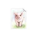 Picture of Farm Pig _GroupedProduct_Rectangle_Portrait_Mini_ _GroupedProduct_Rectangle_Portrait_Unframed_Print_Only_