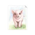 Picture of Farm Pig _GroupedProduct_Rectangle_Portrait_Mini_ _GroupedProduct_Rectangle_Portrait_Unframed_Print_Only_