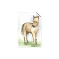 Picture of Farm Horse _GroupedProduct_Rectangle_Portrait_Mini_ _GroupedProduct_Rectangle_Portrait_Unframed_Print_Only_