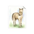 Picture of Farm Horse _GroupedProduct_Rectangle_Portrait_Mini_ _GroupedProduct_Rectangle_Portrait_Unframed_Print_Only_