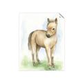 Picture of Farm Horse _GroupedProduct_Rectangle_Portrait_Mini_ _GroupedProduct_Rectangle_Portrait_Unframed_Print_Only_