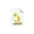 Picture of Farm Duck _GroupedProduct_Rectangle_Portrait_Mini_ _GroupedProduct_Rectangle_Portrait_Unframed_Print_Only_