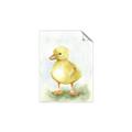 Picture of Farm Duck _GroupedProduct_Rectangle_Portrait_Mini_ _GroupedProduct_Rectangle_Portrait_Unframed_Print_Only_