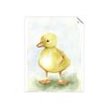 Picture of Farm Duck _GroupedProduct_Rectangle_Portrait_Mini_ _GroupedProduct_Rectangle_Portrait_Unframed_Print_Only_