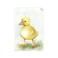 Picture of Farm Duck _GroupedProduct_Rectangle_Portrait_Mini_ _GroupedProduct_Rectangle_Portrait_Unframed_Print_Only_