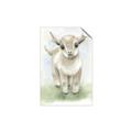 Picture of Farm Lamb _GroupedProduct_Rectangle_Portrait_Mini_ _GroupedProduct_Rectangle_Portrait_Unframed_Print_Only_