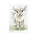 Picture of Farm Lamb _GroupedProduct_Rectangle_Portrait_Mini_ _GroupedProduct_Rectangle_Portrait_Unframed_Print_Only_