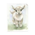 Picture of Farm Lamb _GroupedProduct_Rectangle_Portrait_Mini_ _GroupedProduct_Rectangle_Portrait_Unframed_Print_Only_