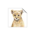 Picture of Lion Babe _GroupedProduct_Square_Mini_ _GroupedProduct_Square_Unframed_Print_Only_