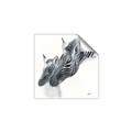 Picture of Mom and baby Zebra _GroupedProduct_Square_Mini_ _GroupedProduct_Square_Unframed_Print_Only_