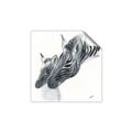 Picture of Mom and baby Zebra _GroupedProduct_Square_Mini_ _GroupedProduct_Square_Unframed_Print_Only_