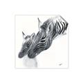 Picture of Mom and baby Zebra _GroupedProduct_Square_Mini_ _GroupedProduct_Square_Unframed_Print_Only_