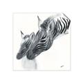 Picture of Mom and baby Zebra _GroupedProduct_Square_Mini_ _GroupedProduct_Square_Unframed_Print_Only_