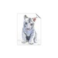 Picture of White Tiger Cub _GroupedProduct_Rectangle_Portrait_Mini_ _GroupedProduct_Rectangle_Portrait_Unframed_Print_Only_