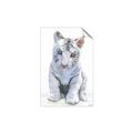 Picture of White Tiger Cub _GroupedProduct_Rectangle_Portrait_Mini_ _GroupedProduct_Rectangle_Portrait_Unframed_Print_Only_